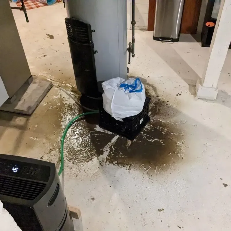 Sewage Backup Cleanup Service in Central City, CO